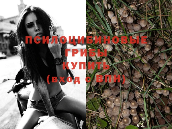 ГАЛЛЮЦИНОГЕННЫЕ ГРИБЫ Надым