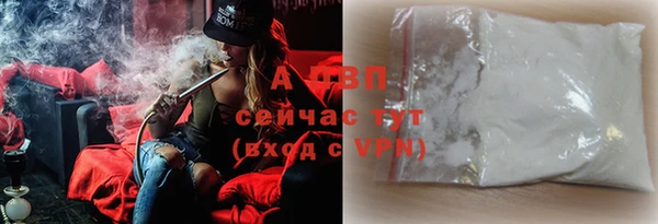 ГАЛЛЮЦИНОГЕННЫЕ ГРИБЫ Надым