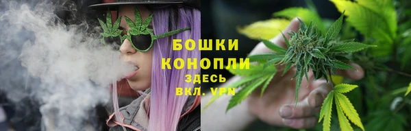 ГАЛЛЮЦИНОГЕННЫЕ ГРИБЫ Надым