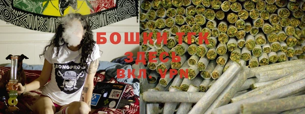 ГАЛЛЮЦИНОГЕННЫЕ ГРИБЫ Надым