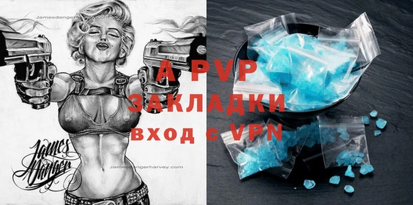 ГАЛЛЮЦИНОГЕННЫЕ ГРИБЫ Надым
