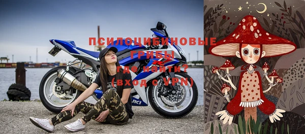 ГАЛЛЮЦИНОГЕННЫЕ ГРИБЫ Надым