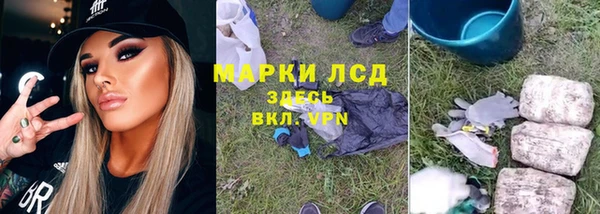 ГАЛЛЮЦИНОГЕННЫЕ ГРИБЫ Надым